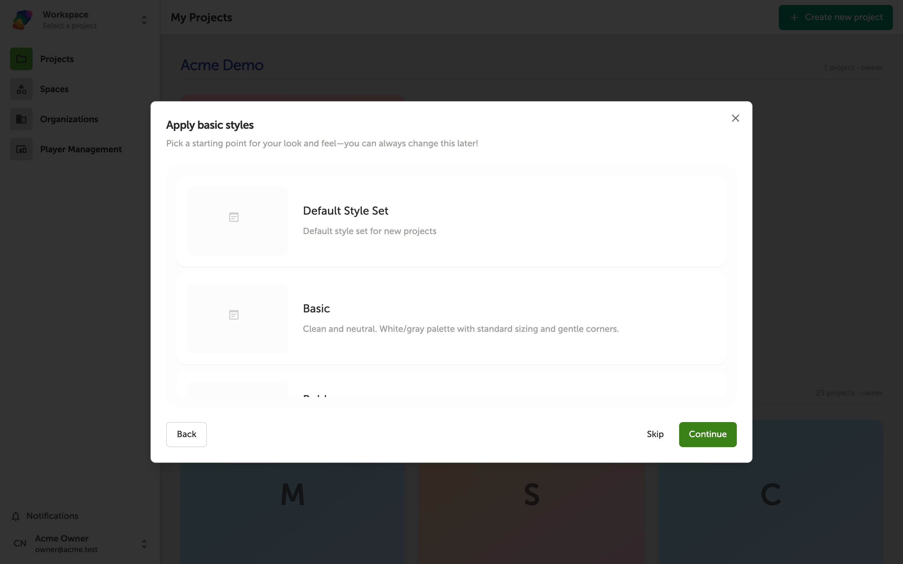 A dialog box titled 'Apply basic styles' showing four style set options: Basic, Bold, Elegant, and Default Style Set, each with a short description. Buttons for Back, Skip, and Continue appear at the bottom.