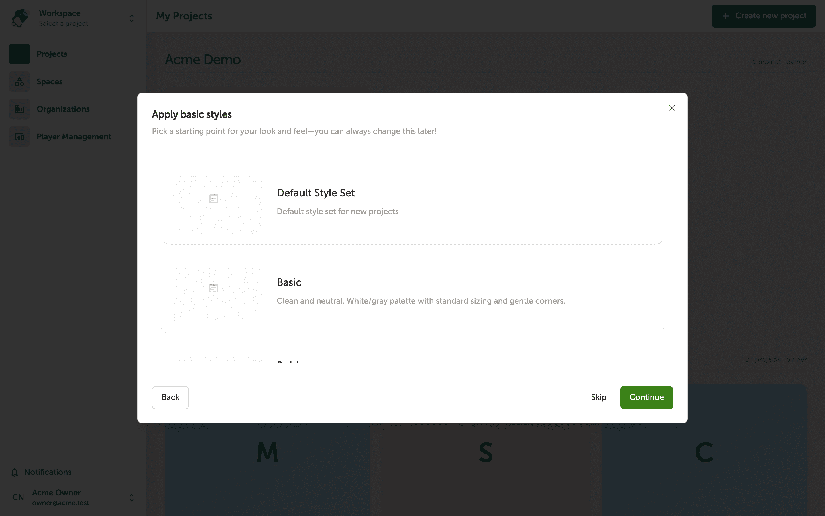 A dialog box titled 'Apply basic styles' showing four style set options: Basic, Bold, Elegant, and Default Style Set, each with a short description. Buttons for Back, Skip, and Continue appear at the bottom.