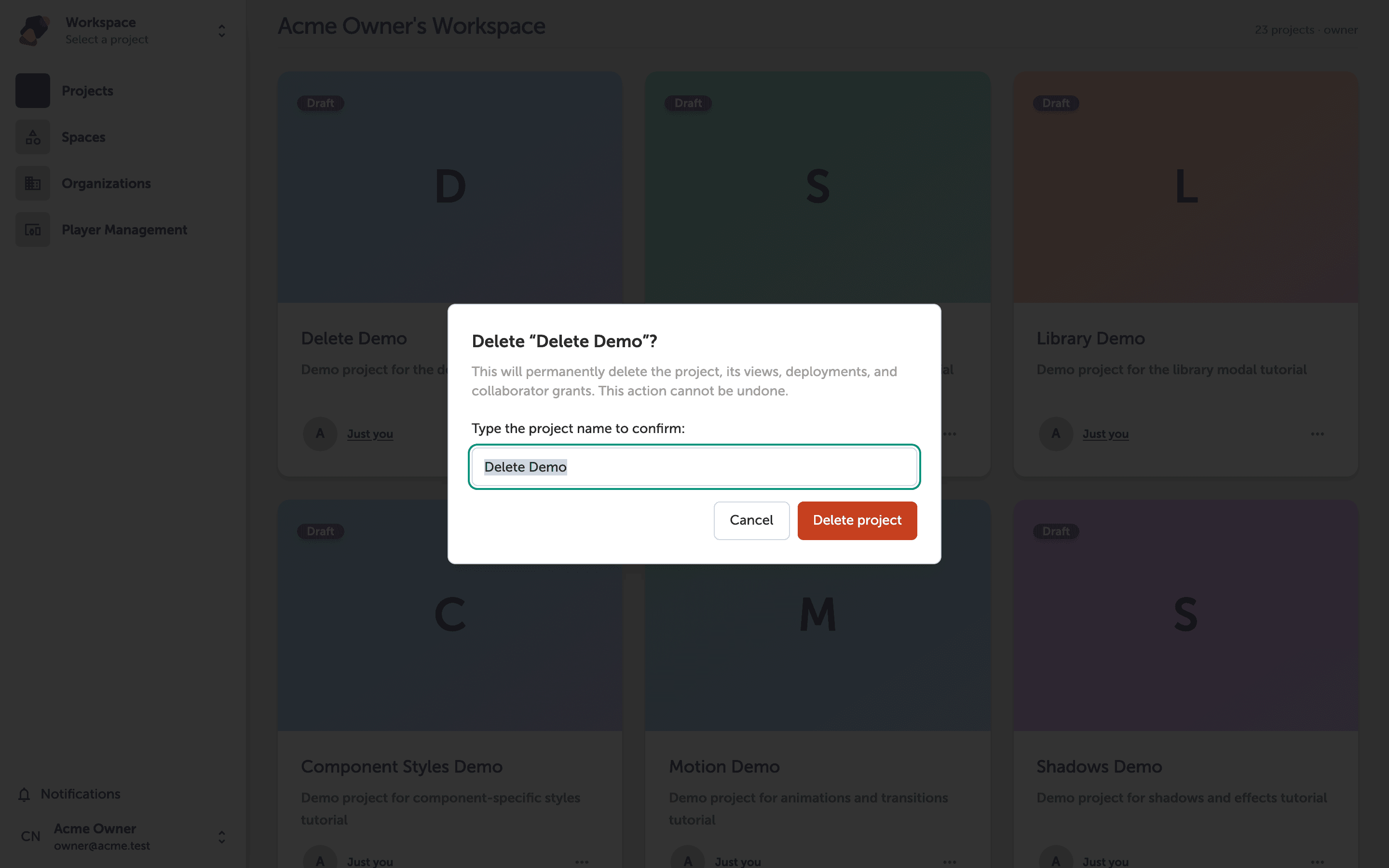 A confirmation dialog titled 'Delete Delete Demo?' with a text field asking the user to type the project name to enable the Delete project button
